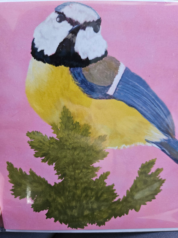 Blue Tit Card